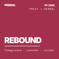 Rebound Premium Fragrance Oil